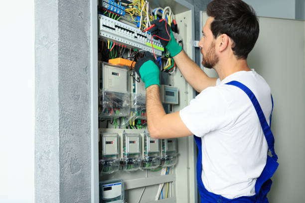 Best Electric Panel Repair  in Mineral Ridge, OH